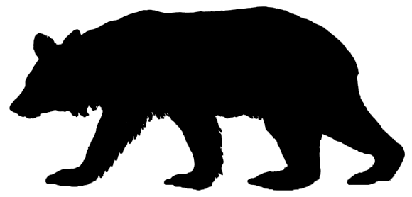 580x278 Top 79 Black Bear Clipart