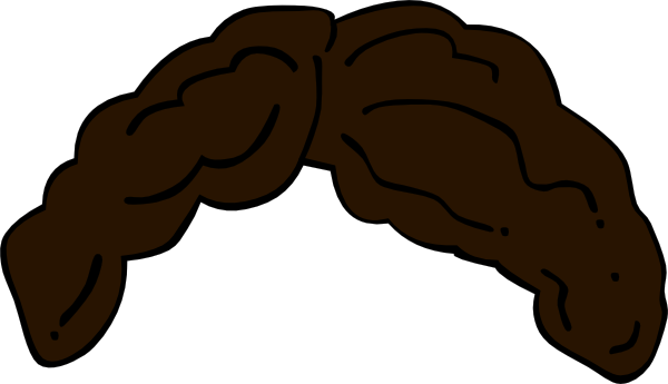 600x345 Hair Clipart Cartoon
