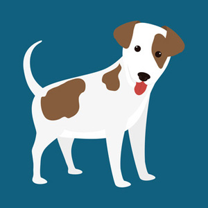 300x300 White Brown Dog Clip Art