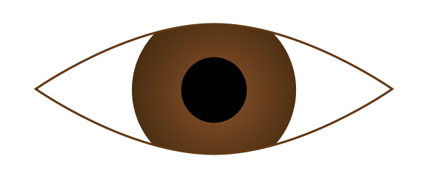 600x250 Eye Clipart Brown Eye