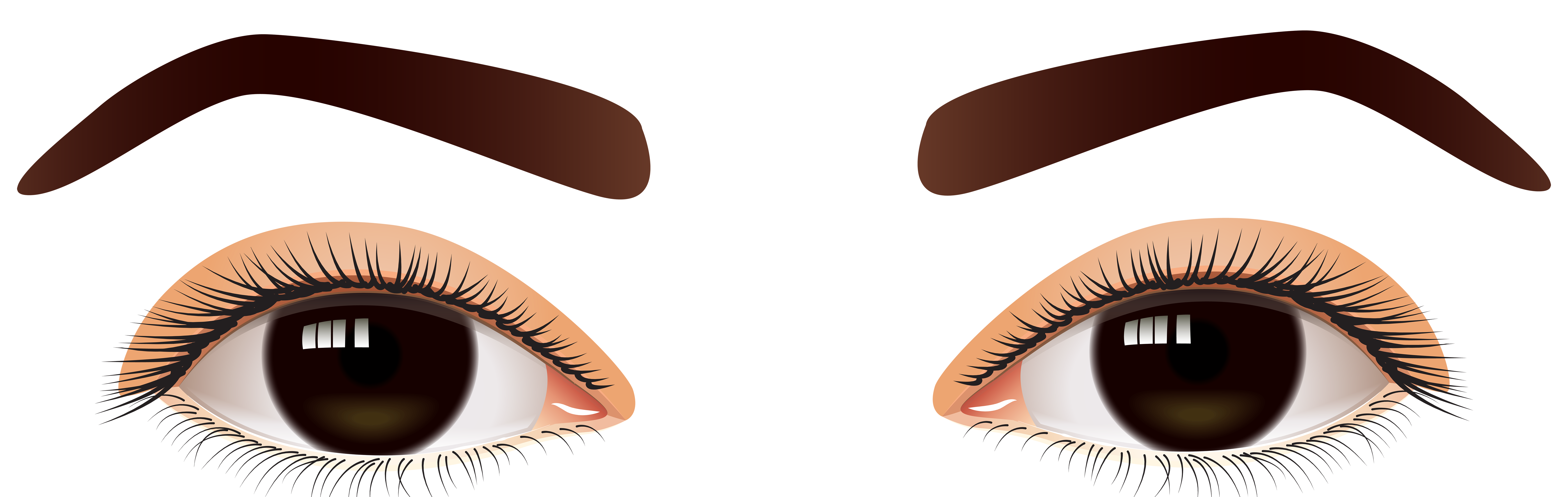 8000x2534 Female Brown Eyes Png Clip Art