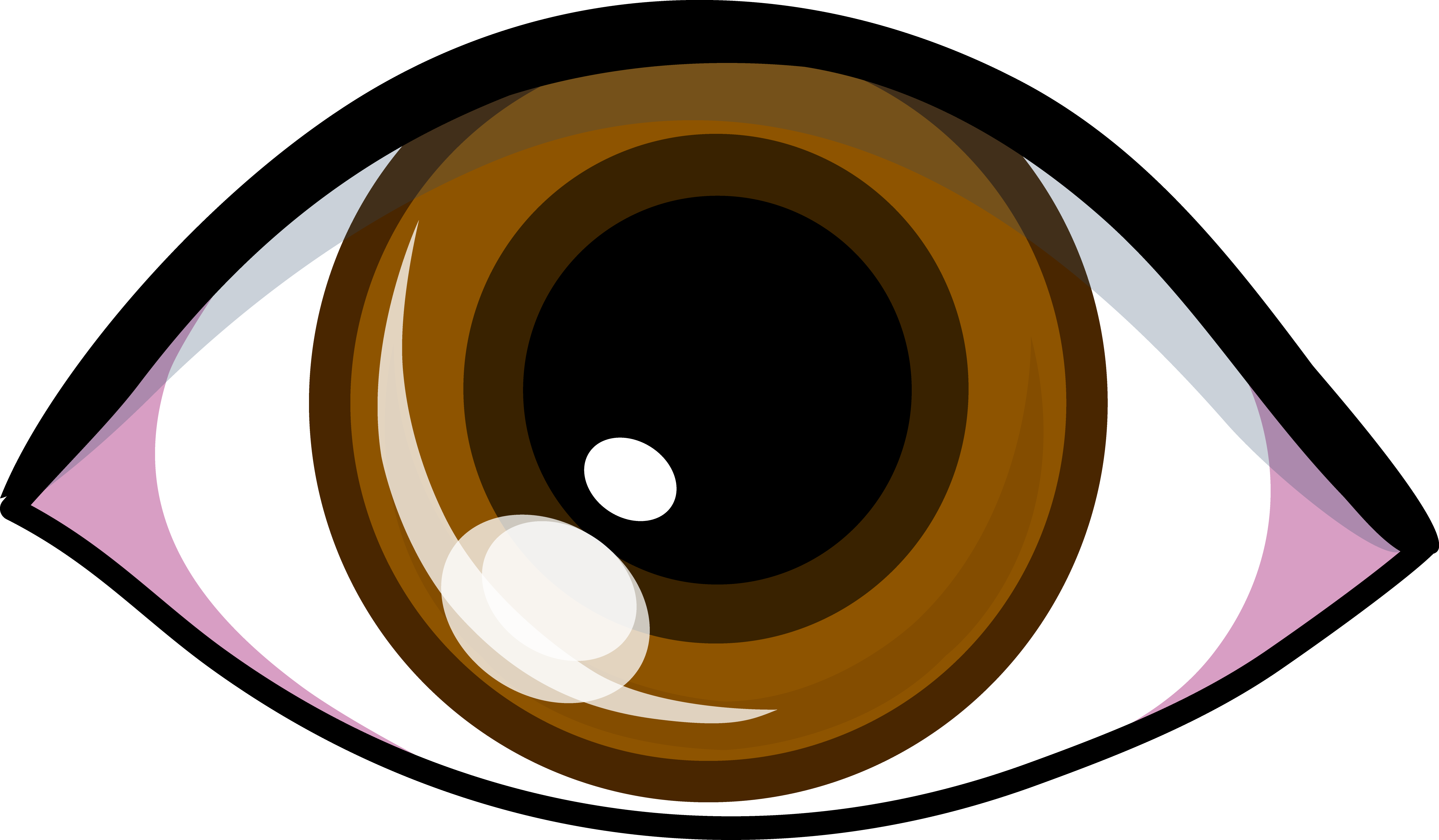 5076x2962 Brown Eye Logo Design