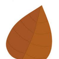 200x200 Fall Leaf Clipart