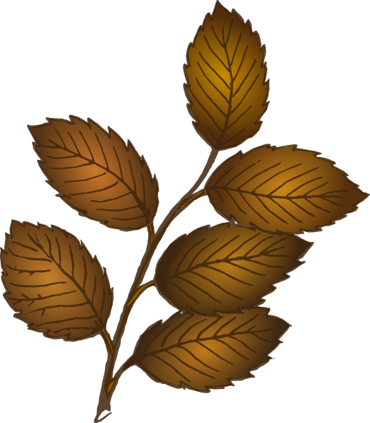 522x598 Fall Leaves Branch Clip Art