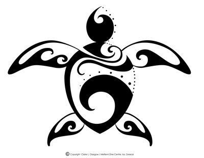 400x310 60 Best Wire Coppy Lines Images Equestrian, Ankle