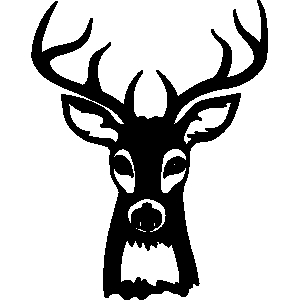 300x300 Buck Clipart