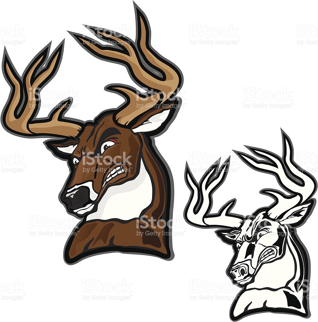 1012x1024 Deer Clipart Big Buck