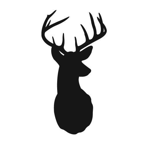 504x504 Buck Clipart Deer Horn