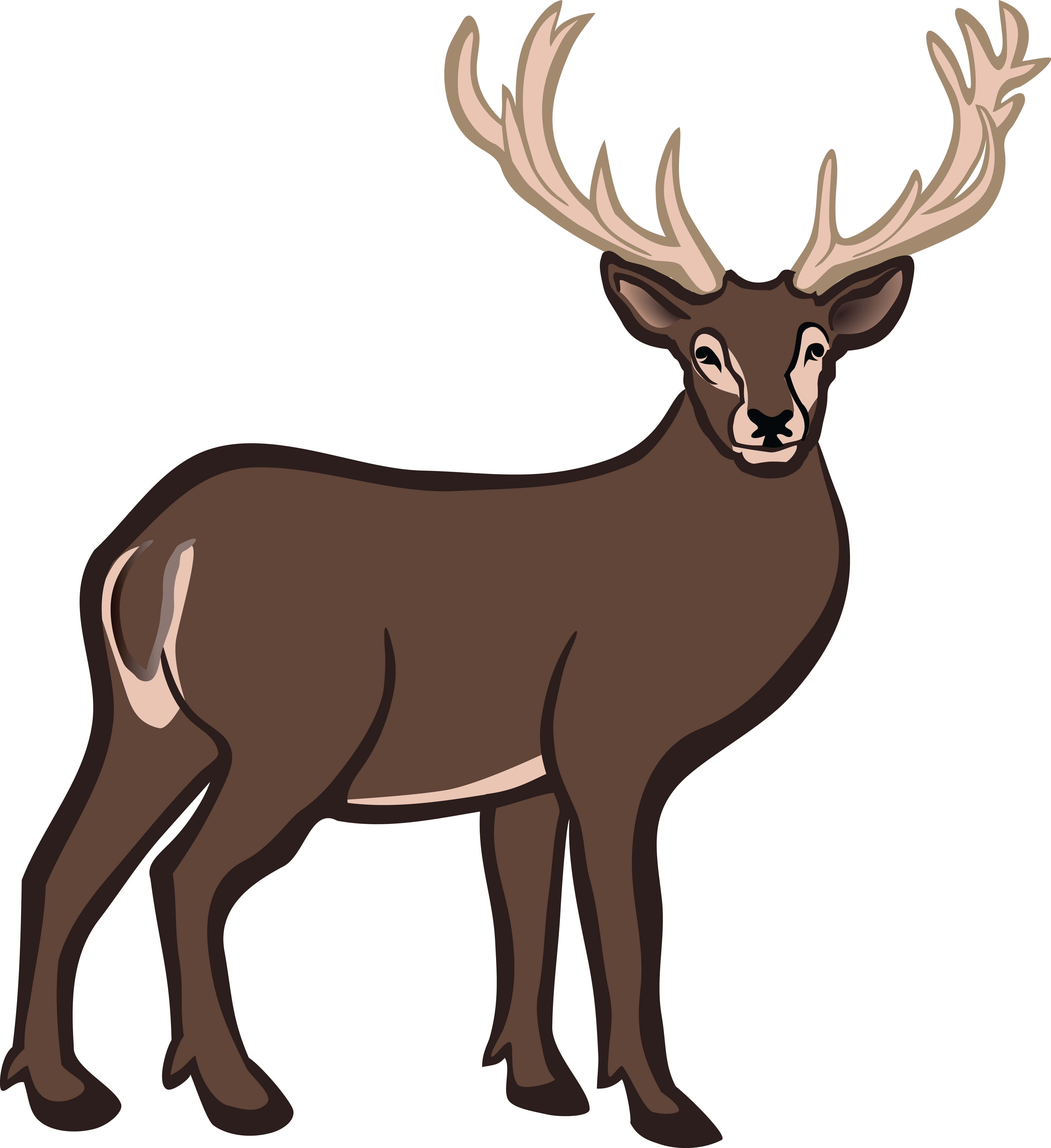 4000x4368 Free Clipart Of A Buck Deer