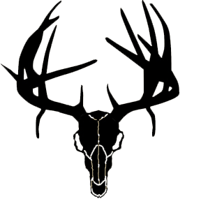 288x288 Buck Deer Skull Clip Art