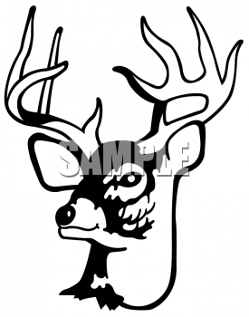 275x350 White Tail Deer Buck Head Clipart