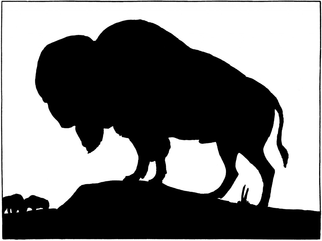 1024x767 Cartoon Buffalo Clipart