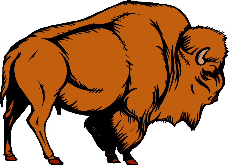 750x540 Free Buffalo Clipart 2