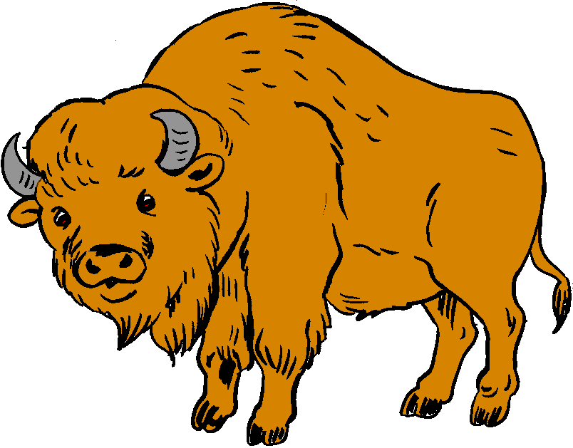 804x629 Top 84 Bison Clip Art