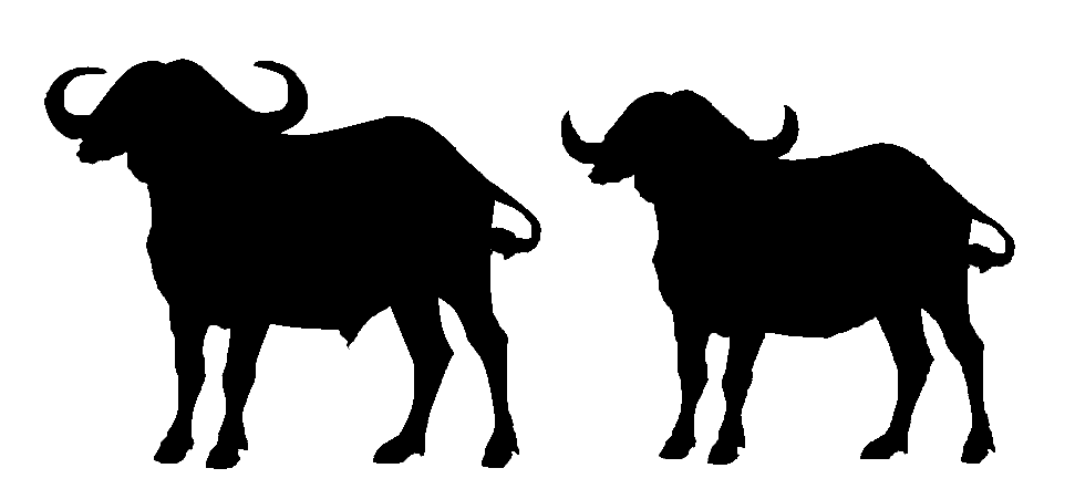 971x442 Water Buffalo Clipart Silhouette