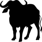 170x170 Buffalo Clip Art