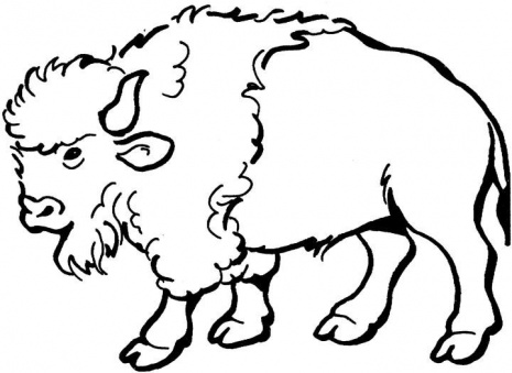 465x339 Buffalo Clipart Buffalo Outline Clipart