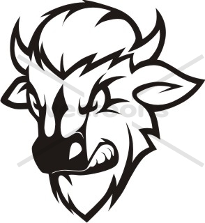 294x320 Wild Buffalo Cartoon In Black And White