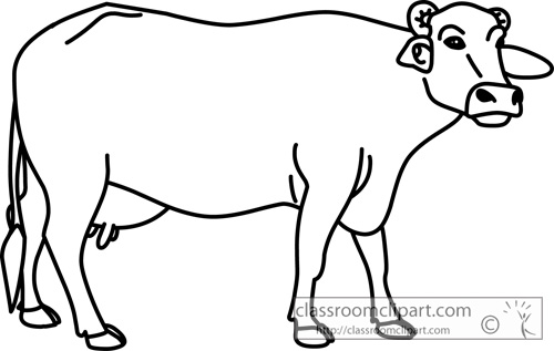 500x317 Animl Clipart Buffalo