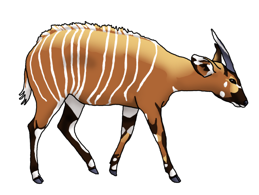 900x677 Round Circle Clipart