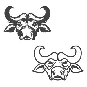 300x300 Buffalo Head On White Background Royalty Free Stock Image
