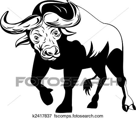 450x393 Stock Illustration Of African Buffalo On Attack K2417837