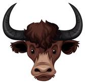 170x164 Buffalo Head Clip Art