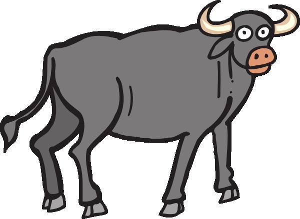 600x439 African Buffalo Clipart Carabao