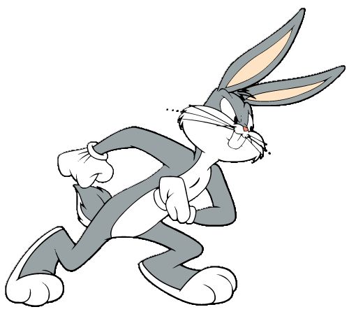 500x449 71 Best Bugs Bunny And Daffy Duck Images Ducks