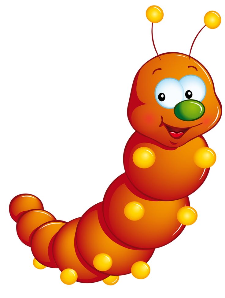 736x973 Bug Clipart Caterpillar