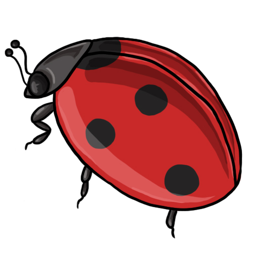 500x500 Free Lady Bug Clipart