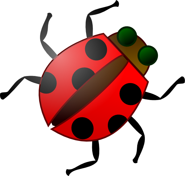 600x572 Bug Clip Art Free Vector 4vector