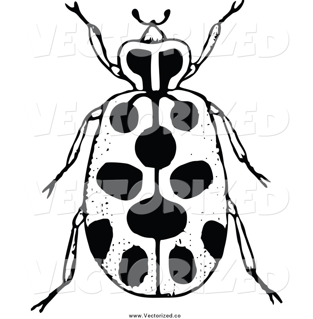 1024x1044 Royalty Free Clipart Of A Black And White Spotted Beetle By Prawny