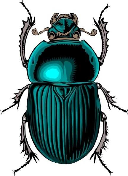 432x593 Top 10 Beetle Clip Art