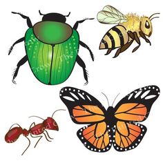 236x236 Bug Clipart Creepy