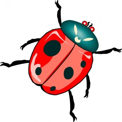 423x425 Lady Bug, Vectors