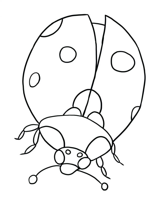 618x773 Hand With Magnifying Glass And Bug Outline Drawing Picture Firefox