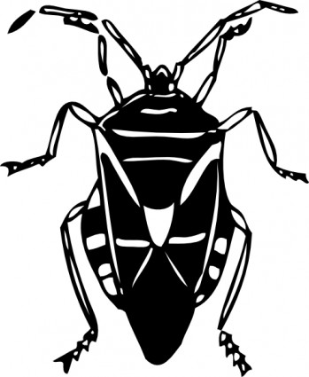 349x425 Insect Clipart Black And White 886 Fly Bug Insect Clip