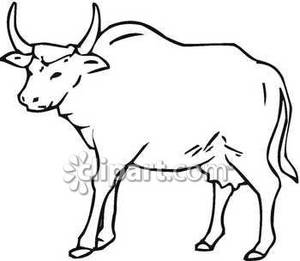 300x261 Black And White Bull