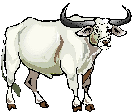 429x358 Red Bull Clipart Carabao