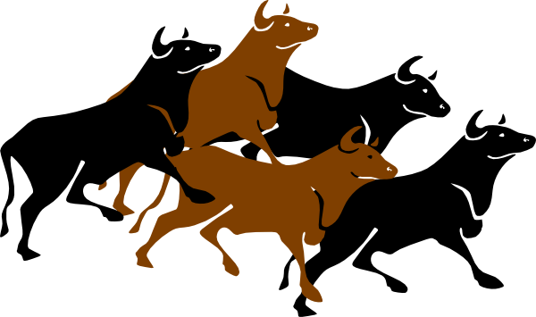 600x355 Bull Stampede Agitated Clip Art