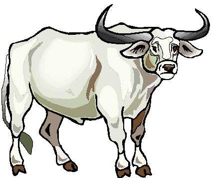 429x358 Top 10 Bull Images Clip Art