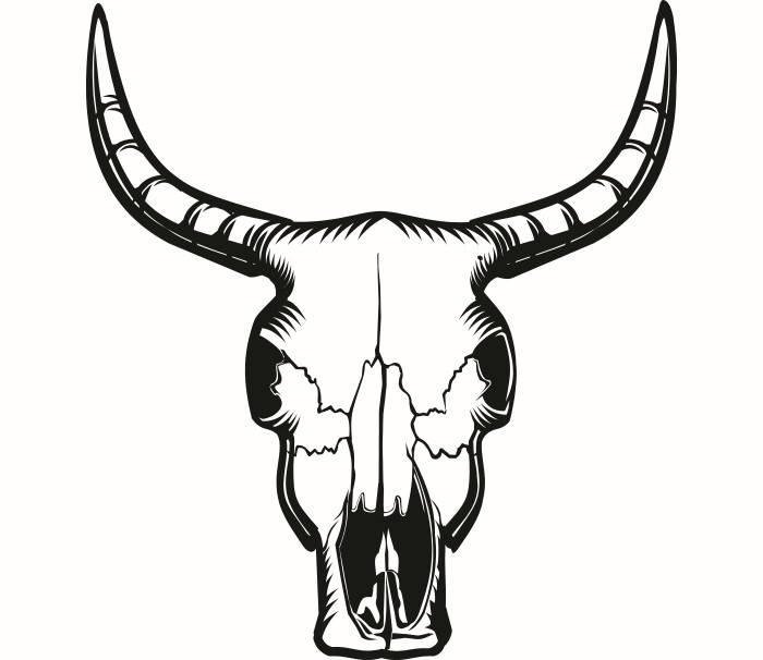 Bull Skull Pictures | Free download on ClipArtMag