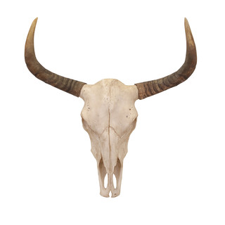 320x320 Bull Skull Wall Decor