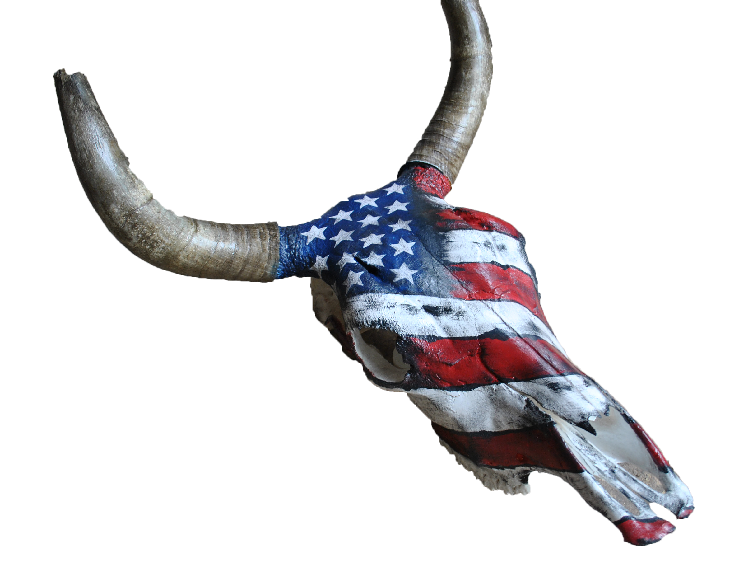 2376x1838 Home Kata Black Angus Bull Skull Of The Us Flag