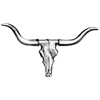 350x350 Large Longhorn Cow Skull