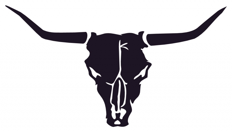 Bull Skull Pictures | Free download on ClipArtMag