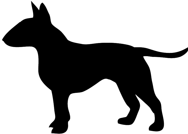 Bull Terrier Cartoon Clipart Free Download On Clipartmag