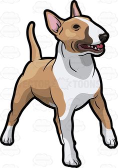 236x335 A White Bull Terrier With A Black Patch Over One Eye