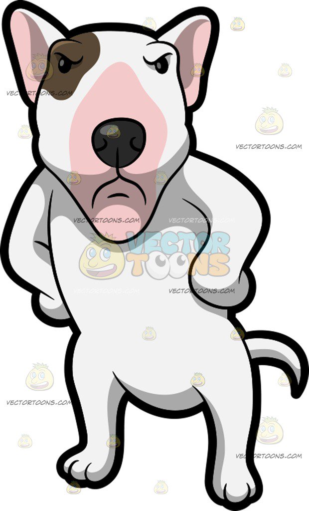 620x1024 An Angry Bull Terrier Cartoon Clipart
